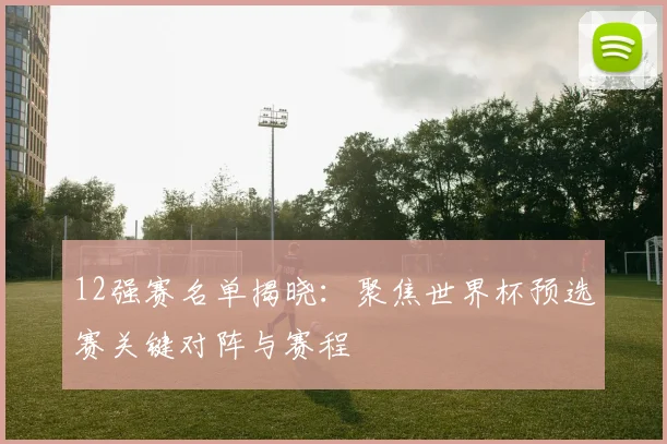 12强赛名单揭晓：聚焦世界杯预选赛关键对阵与赛程