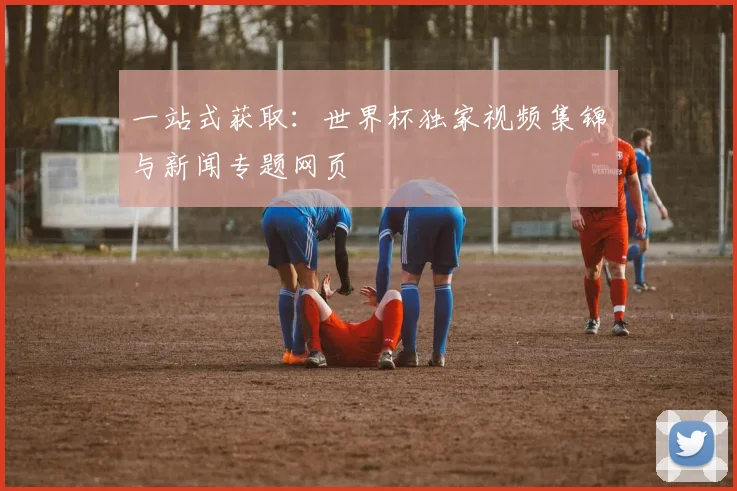 一站式获取:世界杯独家视频集锦与新闻专题网页