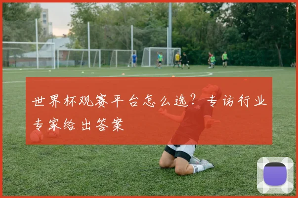 世界杯观赛平台怎么选?专访行业专家给出答案