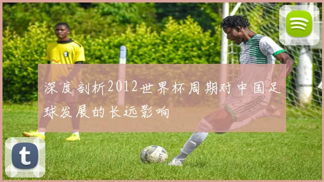 深度剖析2012世界杯周期对中国足球发展的长远影响