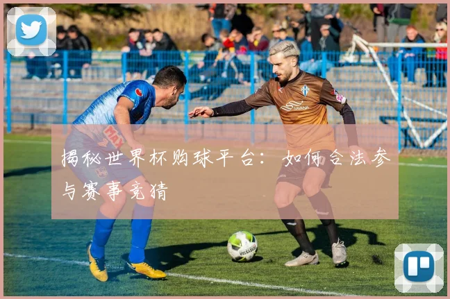 揭秘世界杯购球平台：如何合法参与赛事竞猜