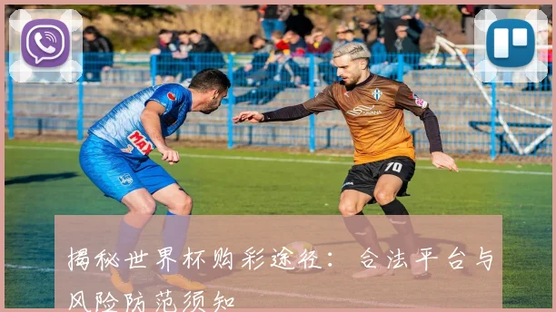 揭秘世界杯购彩途径：合法平台与风险防范须知