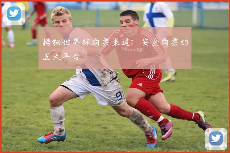 揭秘世界杯购票渠道：安全购票的五大平台