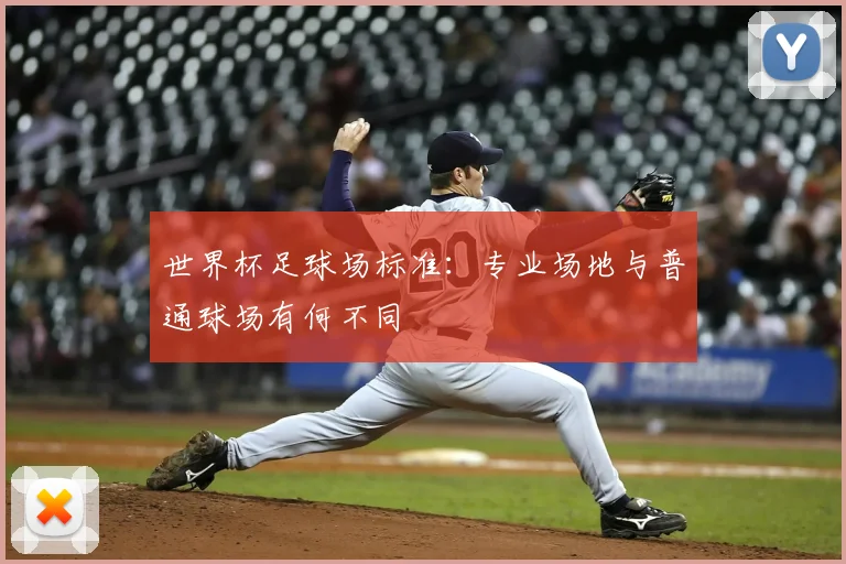 世界杯足球场标准:专业场地与普通球场有何不同